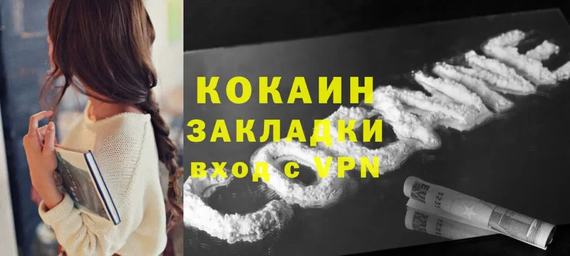 дарк нет наркотические препараты  Курлово  Cocaine FishScale  наркота 